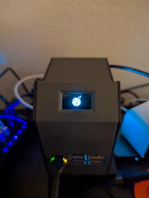 OLED showing sleeping lion at night